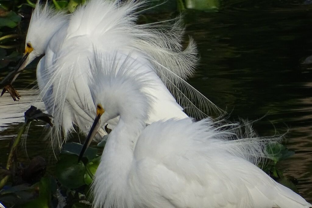 Berisso tiene una nueva reserva natural privada 2 Berisso tiene una nueva reserva natural privada