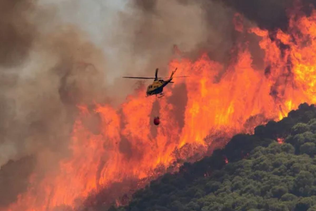 Decenas de miles de evacuados por incendios en el sur de Europa en plena ola de calor