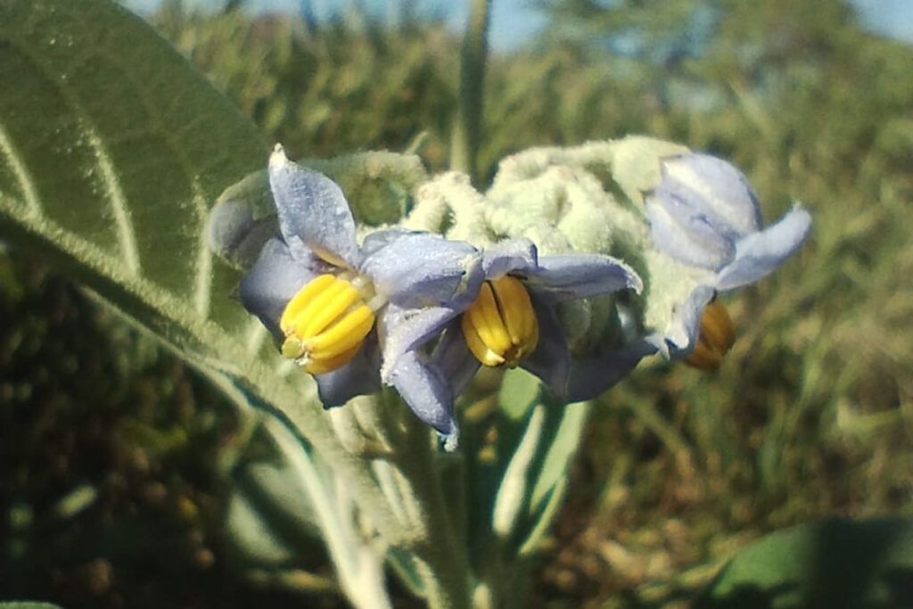 Berisso tiene una nueva reserva natural privada 1 Berisso tiene una nueva reserva natural privada