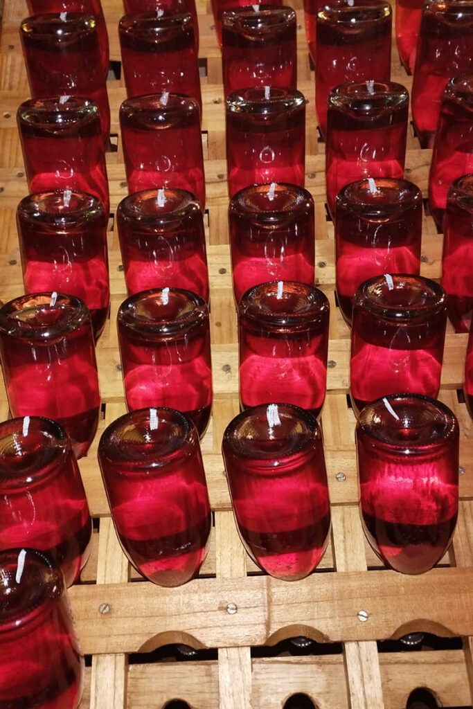 De la Patagonia al mundo, llega el primer espumante de pétalos de tulipán 2 De la Patagonia al mundo, llega el primer espumante de pétalos de tulipán
