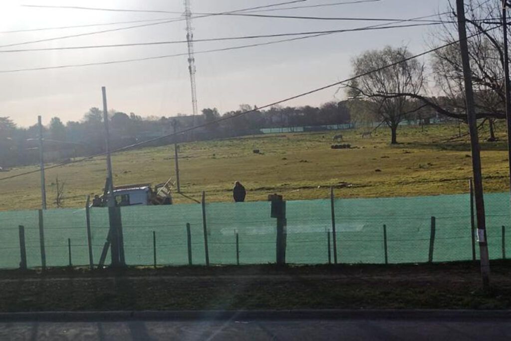 Denuncian que la constructora Sauber tomó un predio comunitario por la fuerza 4 Denuncian que la constructora Sauber tomó un predio comunitario por la fuerza